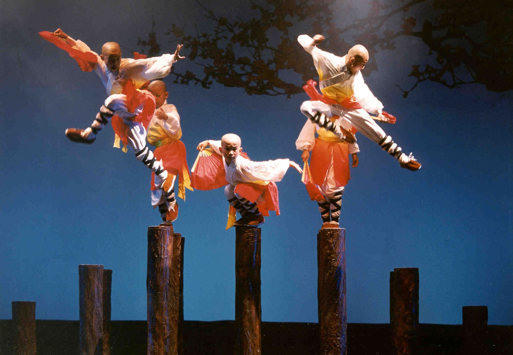 Sức hấp dẫn khó cưỡng của võ thuật shaolin warriors 1 Sức hấp dẫn khó cưỡng của võ thuật