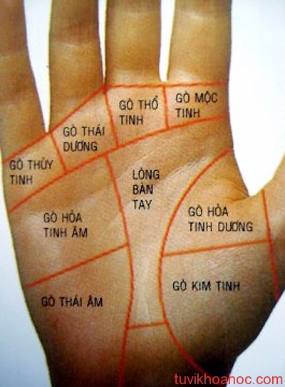 coi boi chi tay qua cac go Ý nghĩa của các gò ở lòng bàn tay