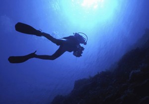 diver3 1 kể tên những nghề lạ có thu nhập cao tại châu Á