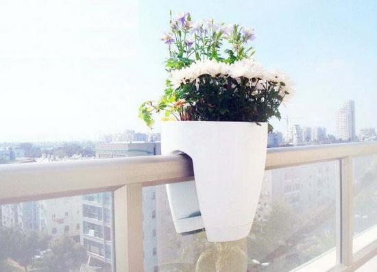 Dungnha.com.vn- Hè rực rỡ với chậu hoa large 659 he ruc ro voi chau hoa lan can Mua hè rực rỡ với những chậu hoa đủ sắc trước ban công phòng