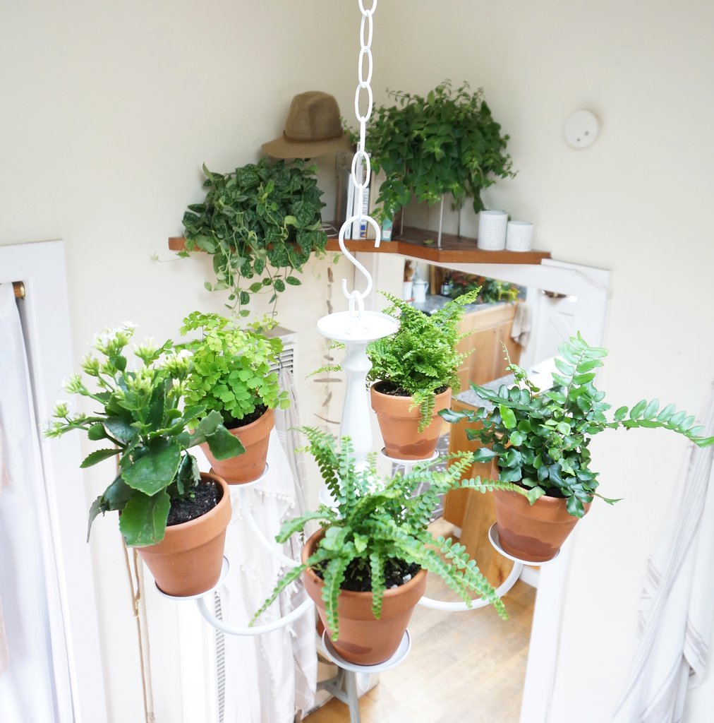 Tham quan ngôi nhà 36m² với sân vườn đẹp như mơ của cô gái 20 tuổi nguong mo ngoi nha cua co chu nho voi dien tich 36 m2 e77af1e4cb Tham quan ngôi nhà 36m² với sân vườn đẹp như mơ của cô gái 20 tuổi