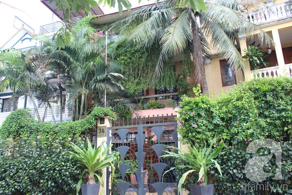 nhung ngoi nha xanh tuyet dep nho cay canh o ha noi Chiêm ngắm những ngôi nhà xanh tuyệt đẹp nhờ cây cảnh ở Hà Nội