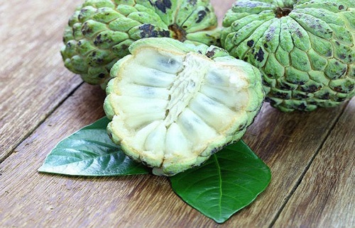 Trẻ ăn quả này thường xuyên tốt cho não bộ, càng ăn càng thông minh vượt trội hơn cang an cang thong minh1 Trẻ ăn quả này thường xuyên tốt cho não bộ, càng ăn càng thông minh vượt trội hơn
