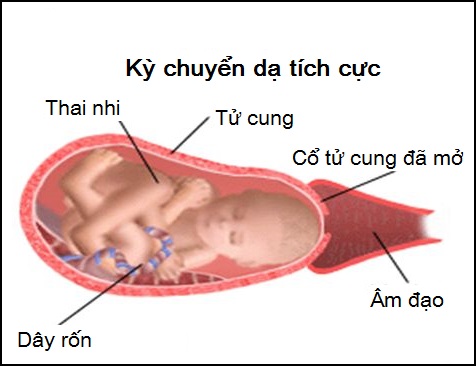 qua trinh sinh no tu nhien2 Tường tận về ba giai đoạn của quá trình sinh nở tự nhiên mẹ bầu cần biết